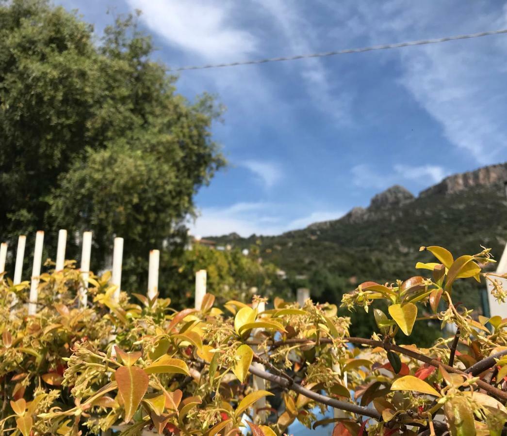 Appartamenti Le Mimose Santa Maria Navarrese Esterno foto